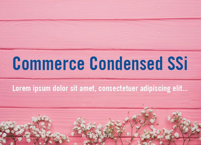 Commerce Condensed SSi example